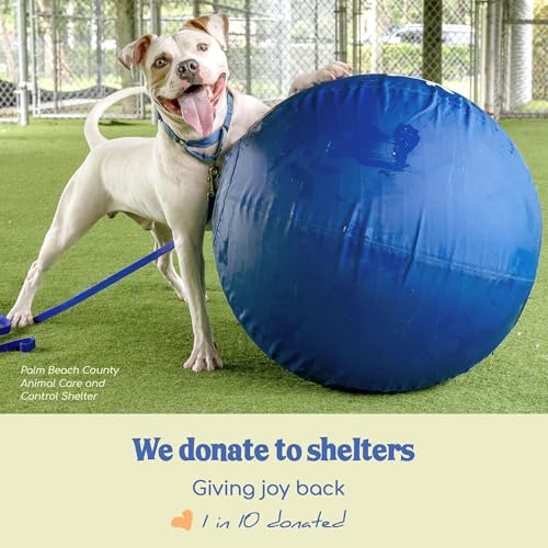 30" Herding Ball for Dogs (Tangerine - XL 30" Herding Ball Set / XL 30")
