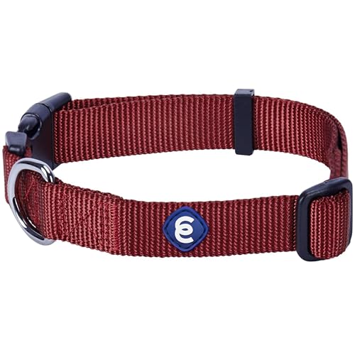 Essentials X Small Dog Collar (X-Small / Fired Brick)
