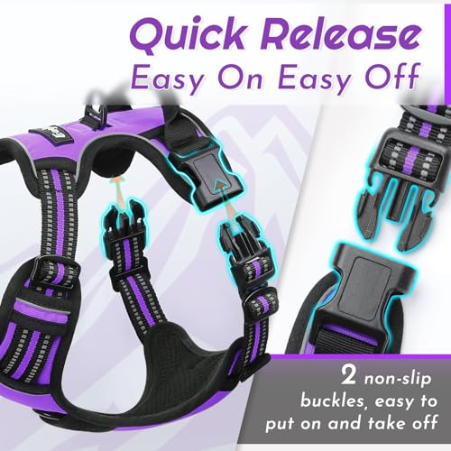 Dog Harness for Small Dogs (Small / Purple)