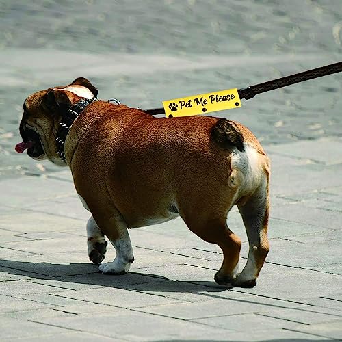 Funny Dog Leash Sleeve Pet Me Please Dog Leash Wrap Wrap Alert Hanging ID Patch Tag Pet Birthday Gift (Pet Me Please-ye Sleeve)