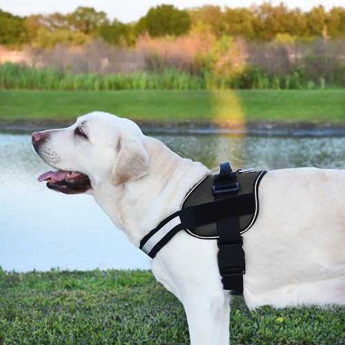 Dog Harness Reflective No (Black / Girth 18" to 24")
