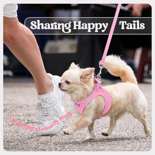 Dog Harness Medium Sized and Leash Set (Light Pink / Xl (chest: 20 - 21.8"))