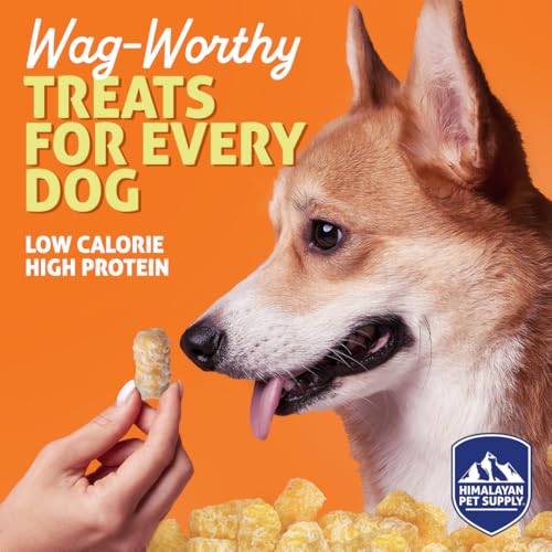 Barkeetos Crunchy Cheesy Dog Snacks (3 Ounce (Pack of 1))