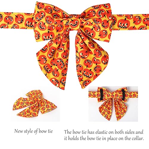 Halloween Dog Collar with Bowtie (Medium (Pack of 1) / C:Funny Pumpkin)