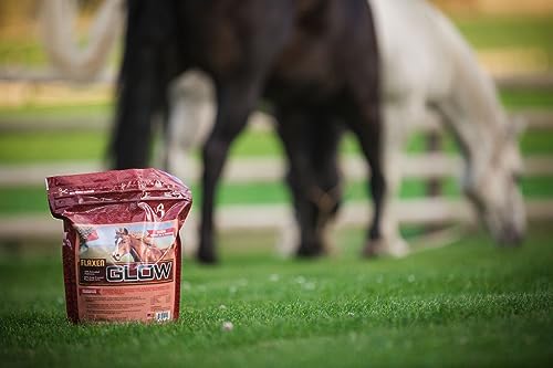 Glow 10 lb Aids in Weight Gain and Improves Coat and Condition