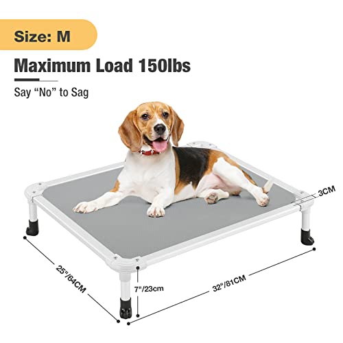 Chew Proof Elevated Dog Bed (Gray / 32.0"L x 25.0"W x 7.0"Th)