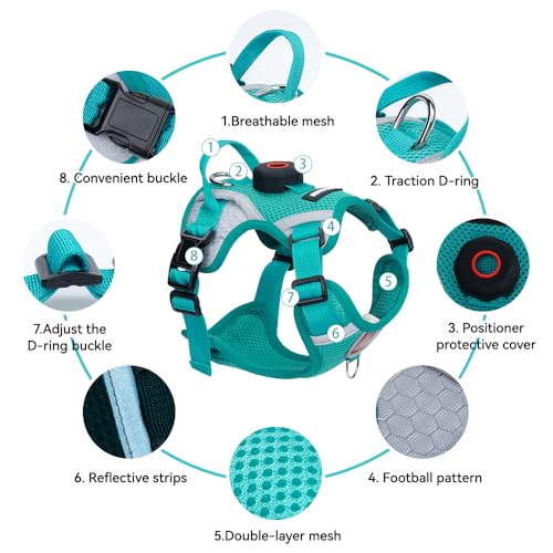 Cat Harness and Leash Set with AirTag Holder (Green (Holder for Airtag) / M)