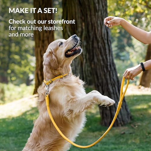 Tangle Free Reflective Leather Dog Collar (Yellow / L)