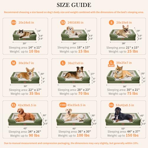 Orthopedic Dog Bed for Medium Size Dog with Bolster (30.0"L x 20.0"W x 7.0"Th / Light Green)