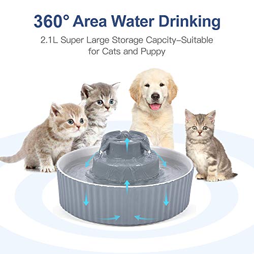 Pet Drinking Fountain
