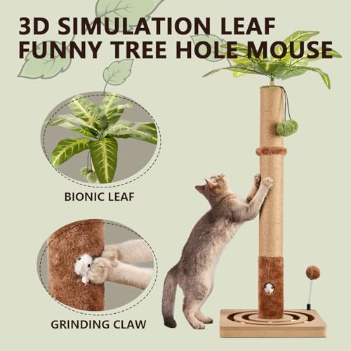 35in Tall Cat Scratching Post Sturdy and Premium Scratch Posts with Hanging Ball and Ball Track Cute Cat Tree for Indoor Cats (35 inches for Adult cats)