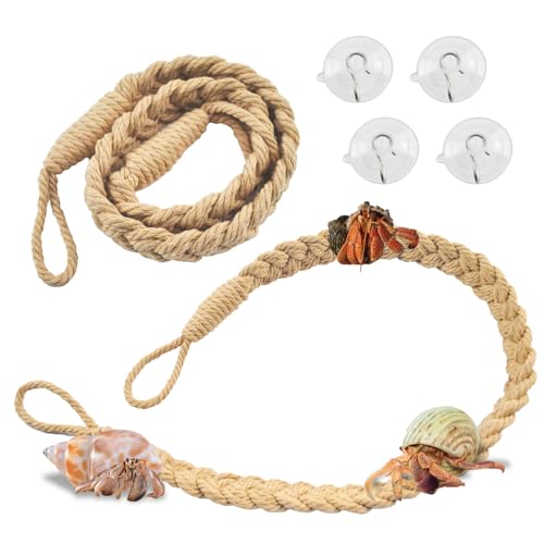 2PCS Hermit Crab Climbing Toys