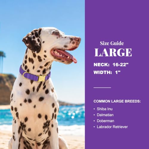 Soft Padded Dog Collar for Large Dogs (Purple / L：Fit 16-22" Neck, Width 1")