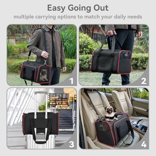 Large Expandable Cat Carrier for Travel (18.9"L x 12.2"W x 12.2"H / Black)