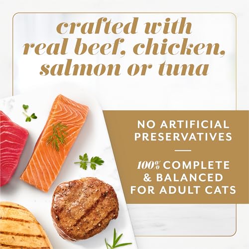 Purina Fancy Feast Gems Salmon Variety Pack Wet Cat Food