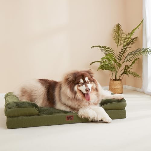 Orthopedic XXL Dog Bed (Olive Green / 52.0"l X 41.0"w X 8.0"th)