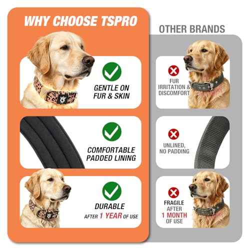 Heavy Duty Thick Dog Collar with Metal Buckle for Large Dogs (L – Fits Neck 18.9"-21.7" / Classic Zebra Print)