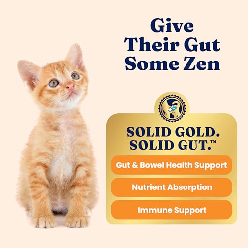 Indoor Wet Kitten Food (24 Pack)