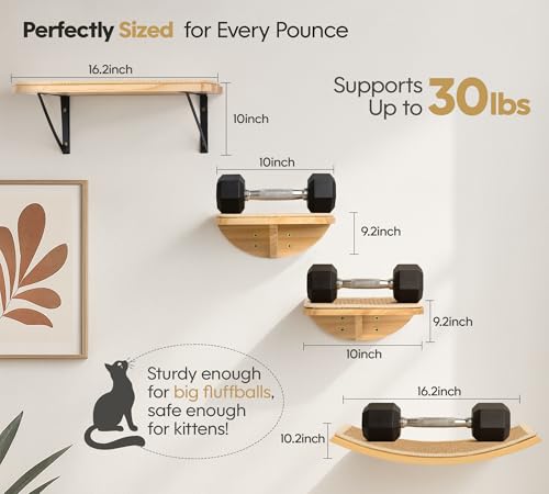 Cat Wall Shelves (Combo B (1 Sisal-Mat Bed, 2 Steps) / Normal)