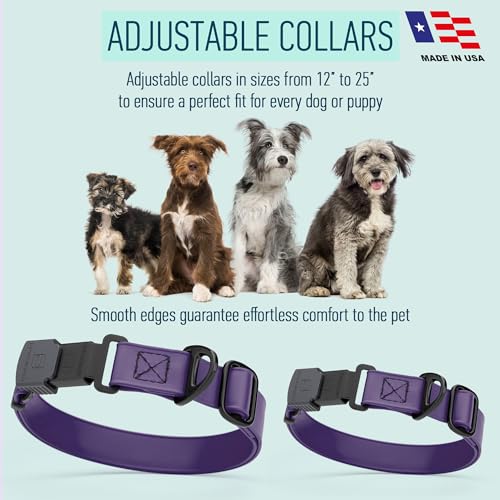 Biothane Waterproof Dog Collar with Herm Sprenger Black Stainless Steel Quick Release Buckle (W 3/4" x L 12"-19" / Violet Purple)