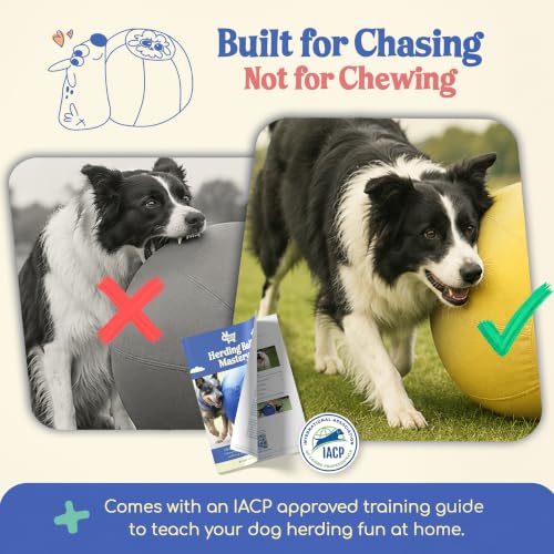 25" Original Herding Ball for Dogs (Gold - L 25" Herding Ball Set / L 25")