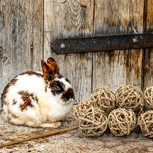 10 Pcs Small Animals Play Balls Rolling Activity Chew Toys Gnawing Treats for Rabbits Guinea Pigs Chinchilla Bunny Natural Balls (10Pcs)