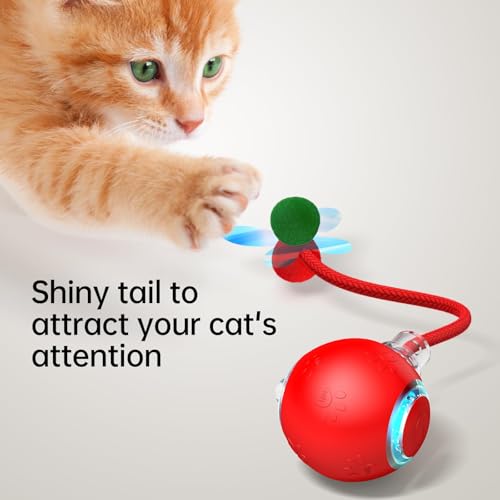 Interactive Dog Cat Toys