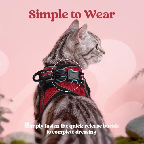 Cat Harness and Leash Set (L / Red)