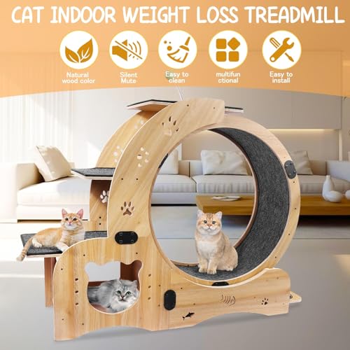 Cat Wheel 6 in