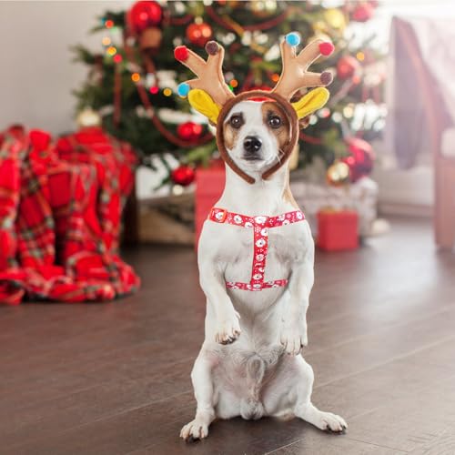 Christmas Dog Harness Medium Sized Step (Red(Santa Claus) / Small)