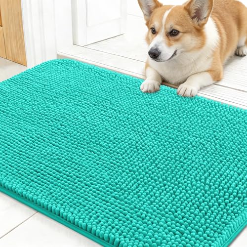 Dog Door Mat for Muddy Paws 30x17 (Teal / 30" X 17")