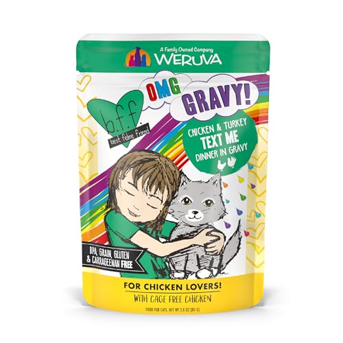 B.F.F. OMG Best Feline Friend Oh My Gravy! (2.8 Ounce (Pack of 12))