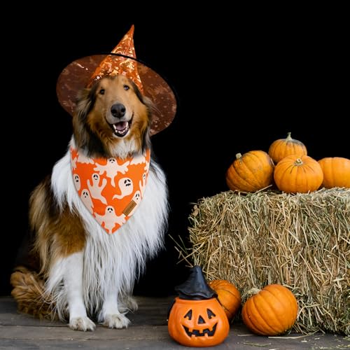 Halloween Dog Bandanas (Large / Halloween- Orange, Black)