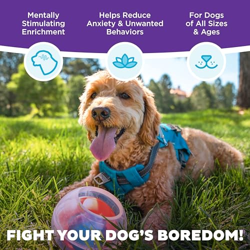 by Nina Ottosson Topsy Treat Ball Dog Puzzle (One Size)