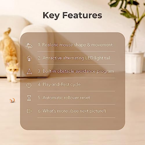 Interactive Cat Toys for Indoor Cats (Yellow)