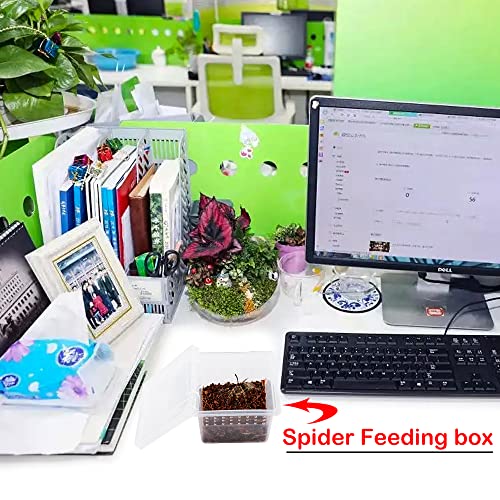 20 Pcs Spider Terrariums Breeding Box Hatching Container Acrylic Feeding Box for Small Reptile Scorpion Centipede Insect
