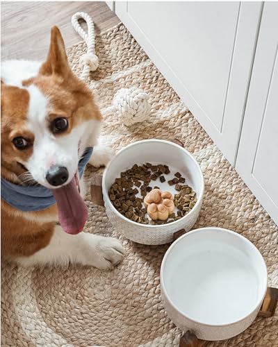 Ceramic Dog Bowls with Acacia Wood Stand (Fireworks+Clover / L-5 Cup)