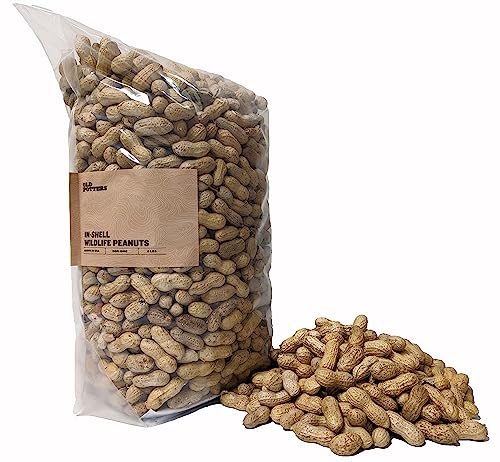Wildlife in Shell Peanuts for Birds (8 Pound (Pack of 1) / In-Shell)