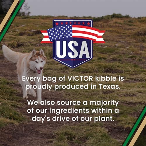 Performance Dry Dog Food (5 Pound (Pack of 1))