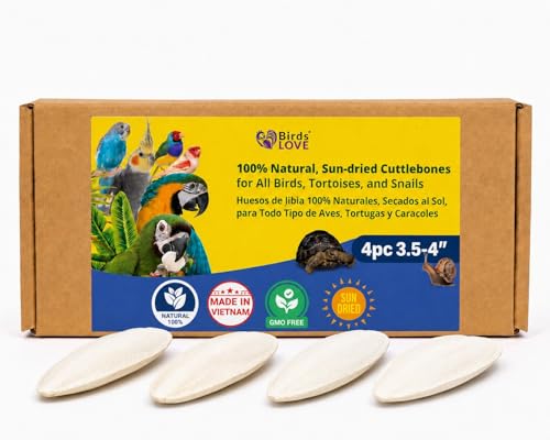 3.5 4″ Cuttlebone for Birds (4 Count (Pack of 1))
