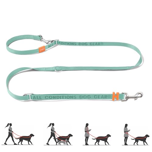 Multifunctional Adjustable Hands Free Leash (MintGreen / Standard)