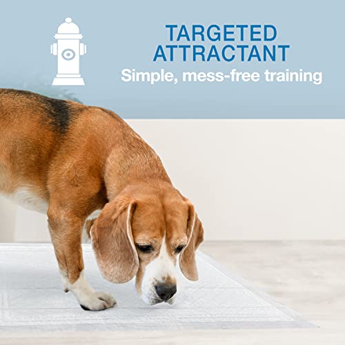 Wee Wee Super Absorbent Unscented Pee Pads for Dogs & Puppies with Insta (100 Count)