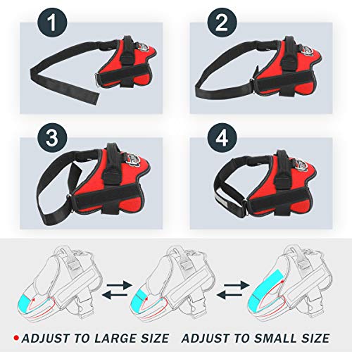 Dog Harness No (Small (Pack of 1) / Red)