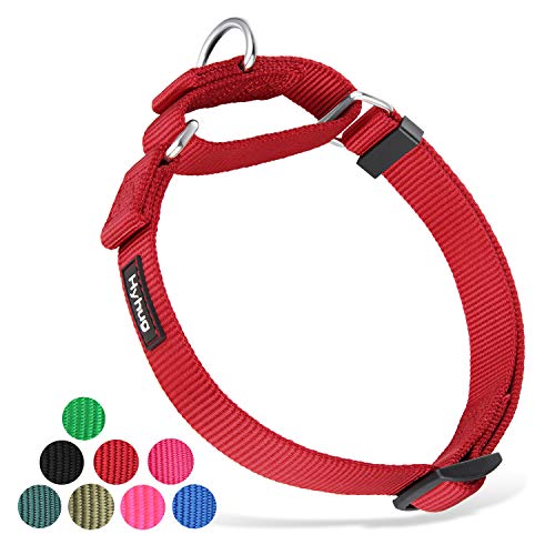 Martingale Collar for Dogs (Large / Red)