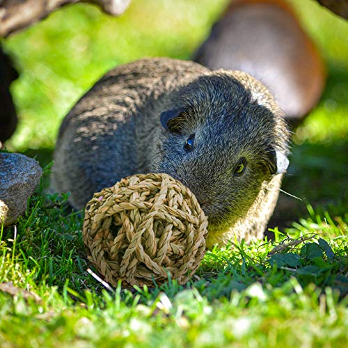 8 Pcs Small Animals Play Balls Rolling Activity Chew Toys Gnawing Treats for Rabbits Guinea Pigs Chinchilla Bunny Natural Balls (8 Pcs+ Pine cone)