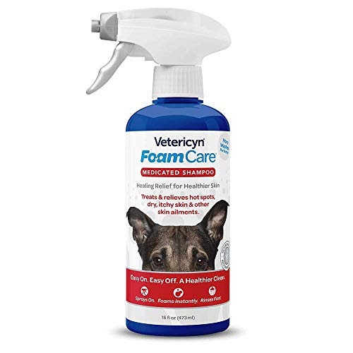 FoamCare Medicated Dog Shampoo (Medicated Shampoo)