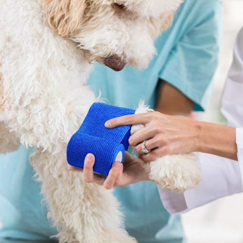 12PCS Self Adhesive Bandage (Blue)