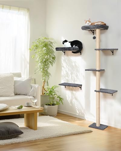 Cat Wall Shelves Set (Grey)