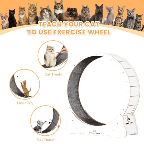 Cat Running Wheel (XL / White)