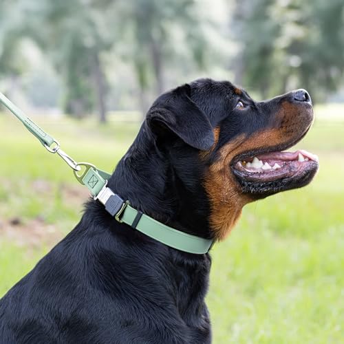 Biothane Waterproof Dog Collar with Herm Sprenger Black Stainless Steel Quick Release Buckle (W 3/4" x L 12"-19" / Sage Green)
